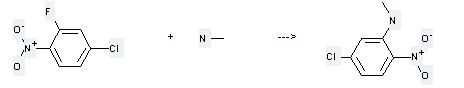 Benzenamine,5-chloro-N-methyl-2-nitro- can be prepared by 2-fluoro-4-chloro-nitrobenzene and methylamine